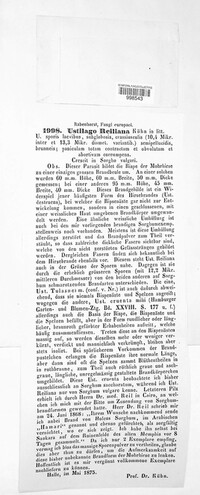 Sporisorium reilianum image